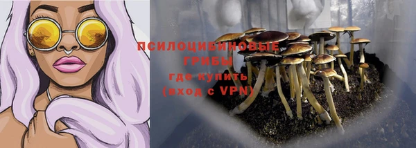 Альфа ПВП Магас