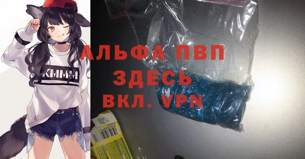 ECSTASY Долгопрудный