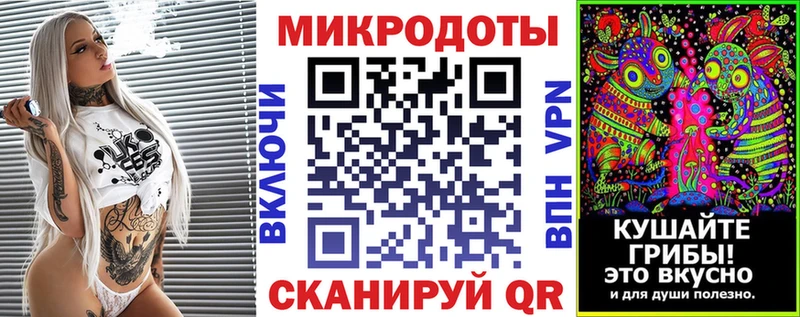Псилоцибиновые грибы Psilocybine cubensis  OMG tor  Усинск 