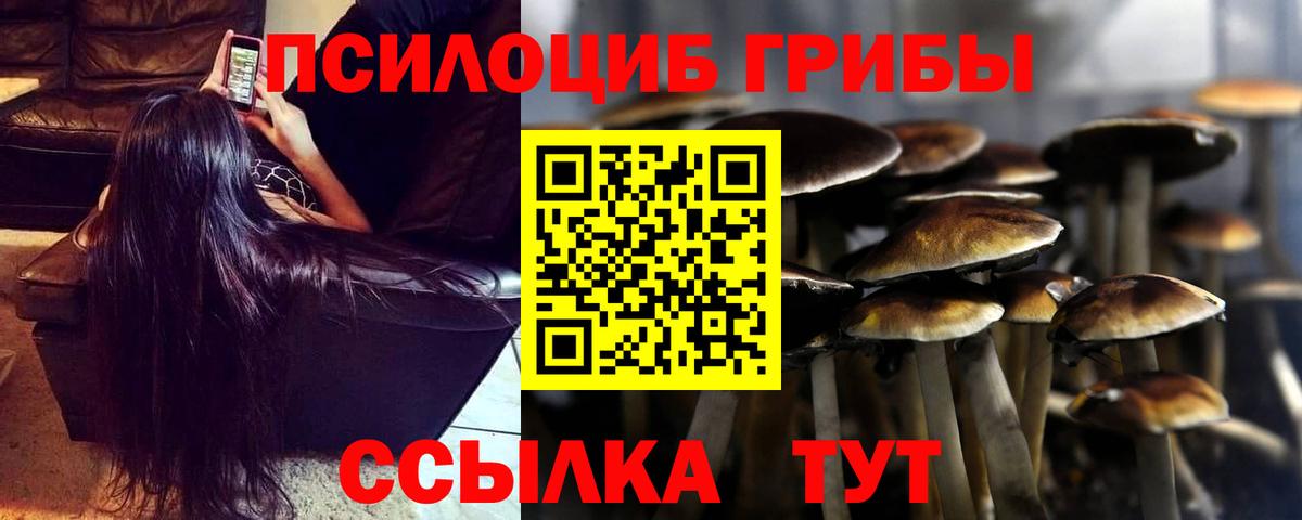 Псилоцибиновые грибы мухоморы Усинск