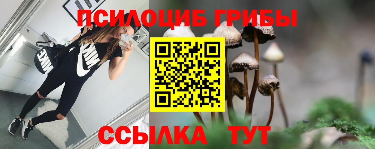 Галлюциногенные грибы Psilocybine cubensis  Вход с VPN  купить наркотики цена  Усинск 